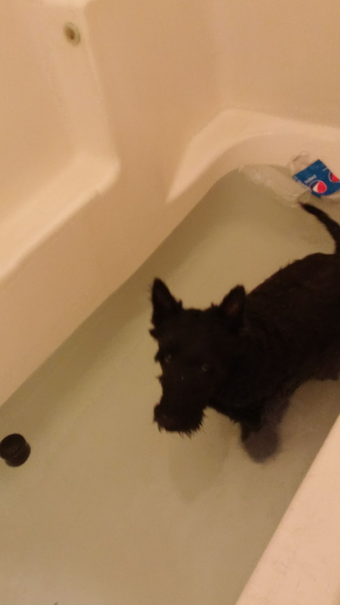 Who Wants to Live… Forever??