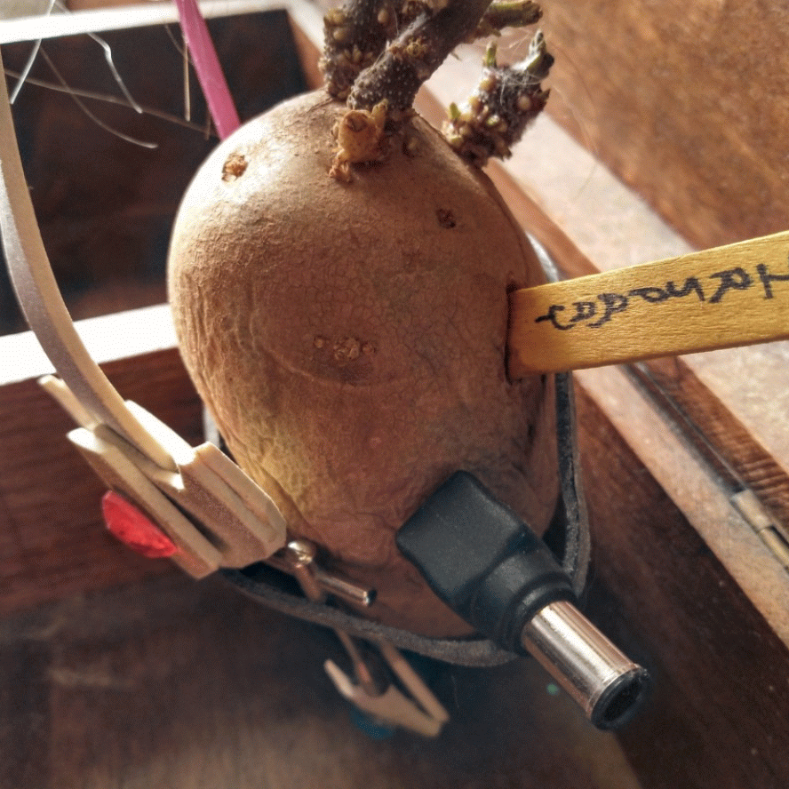 National Prayer Breakfast Miracle!