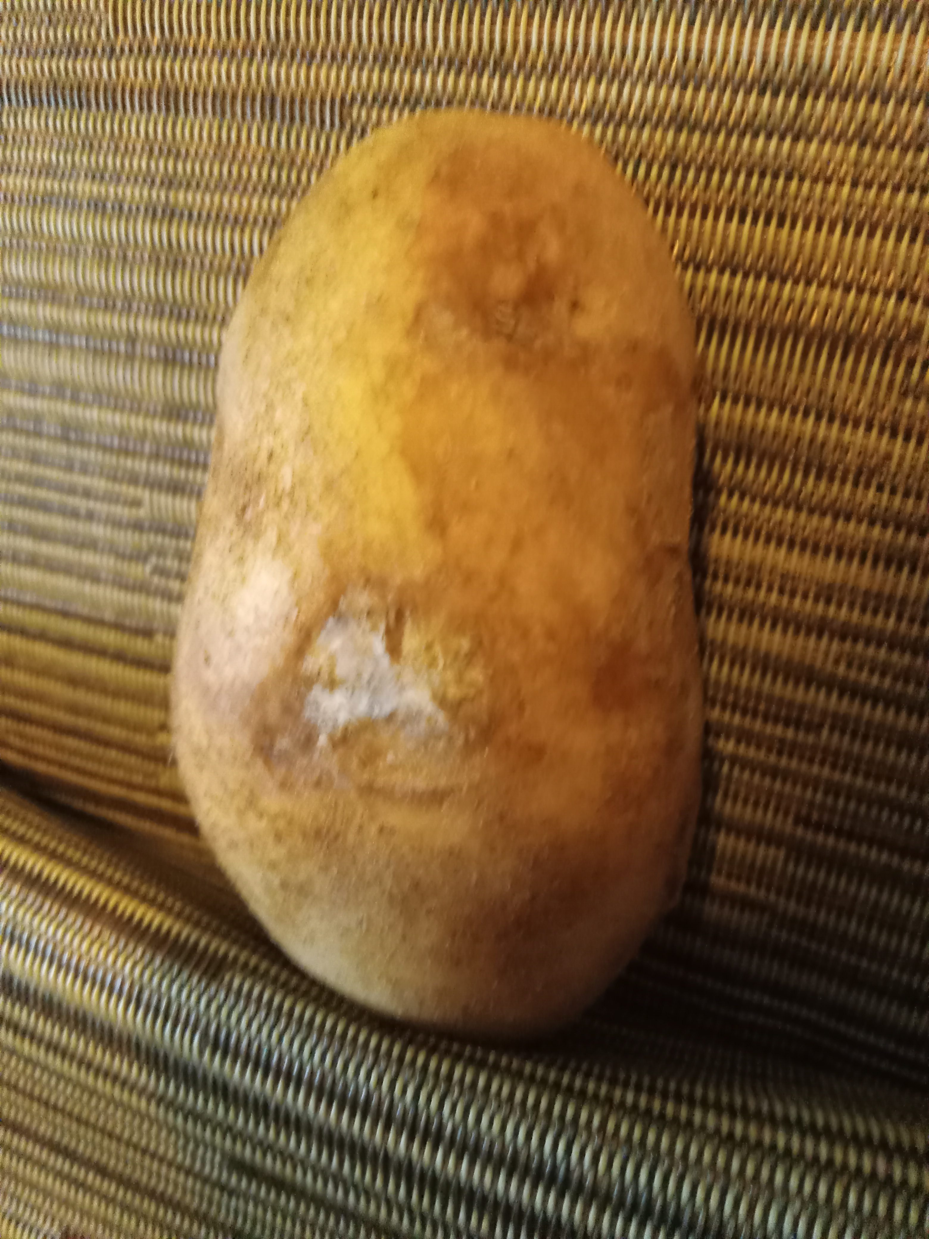 Hyden Von Ghetto Perve