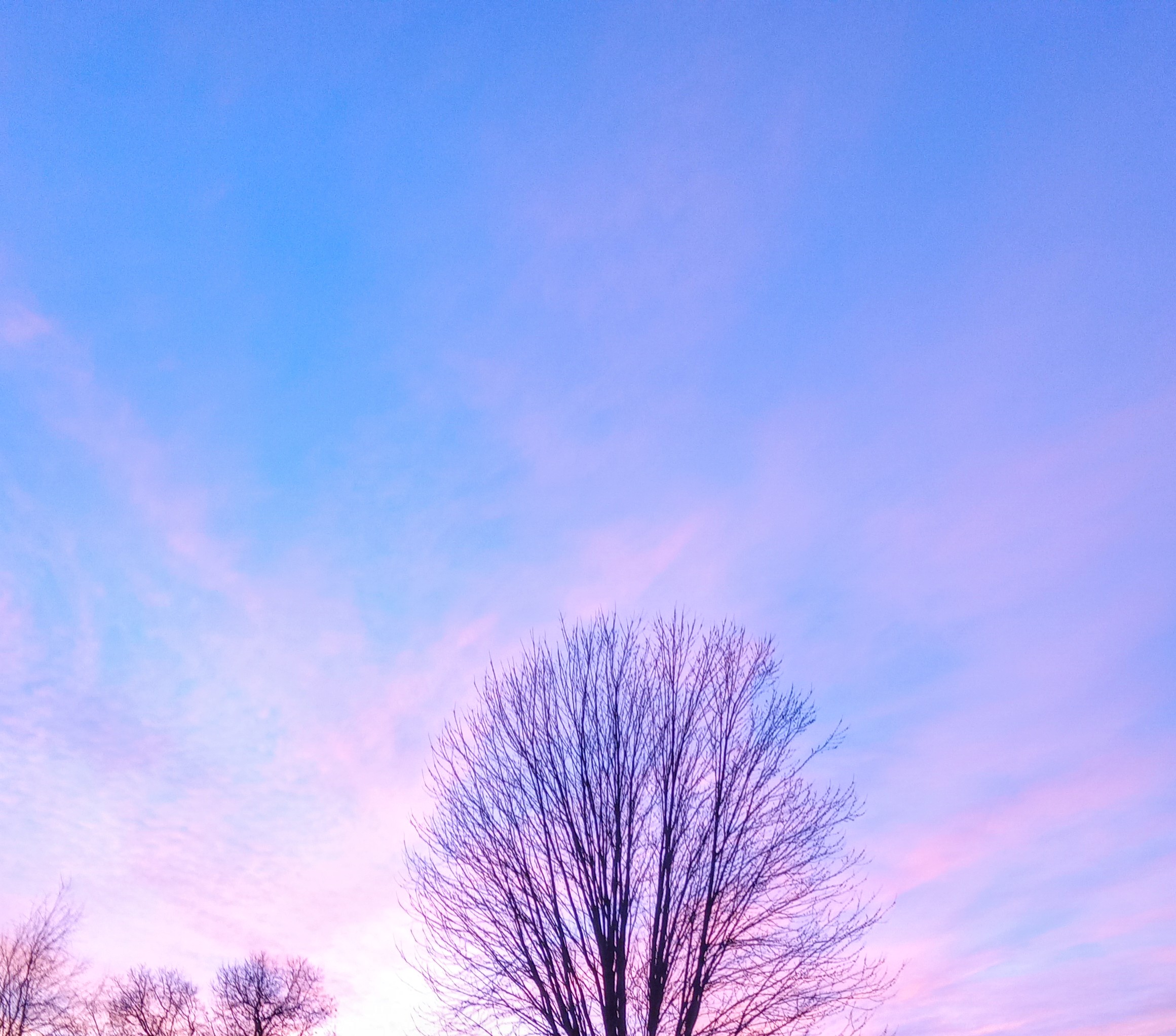 God’s Greeting Cards