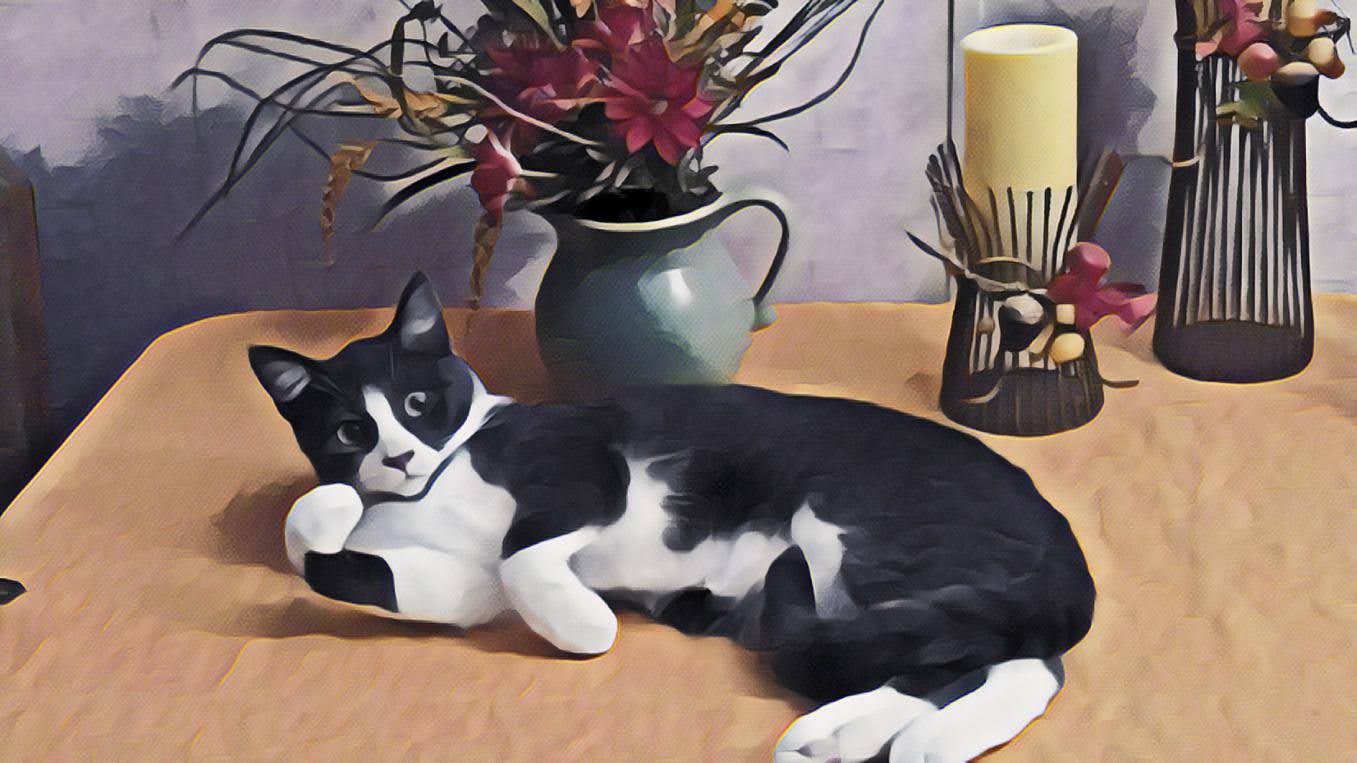 Watch Out Glenneth Assglow