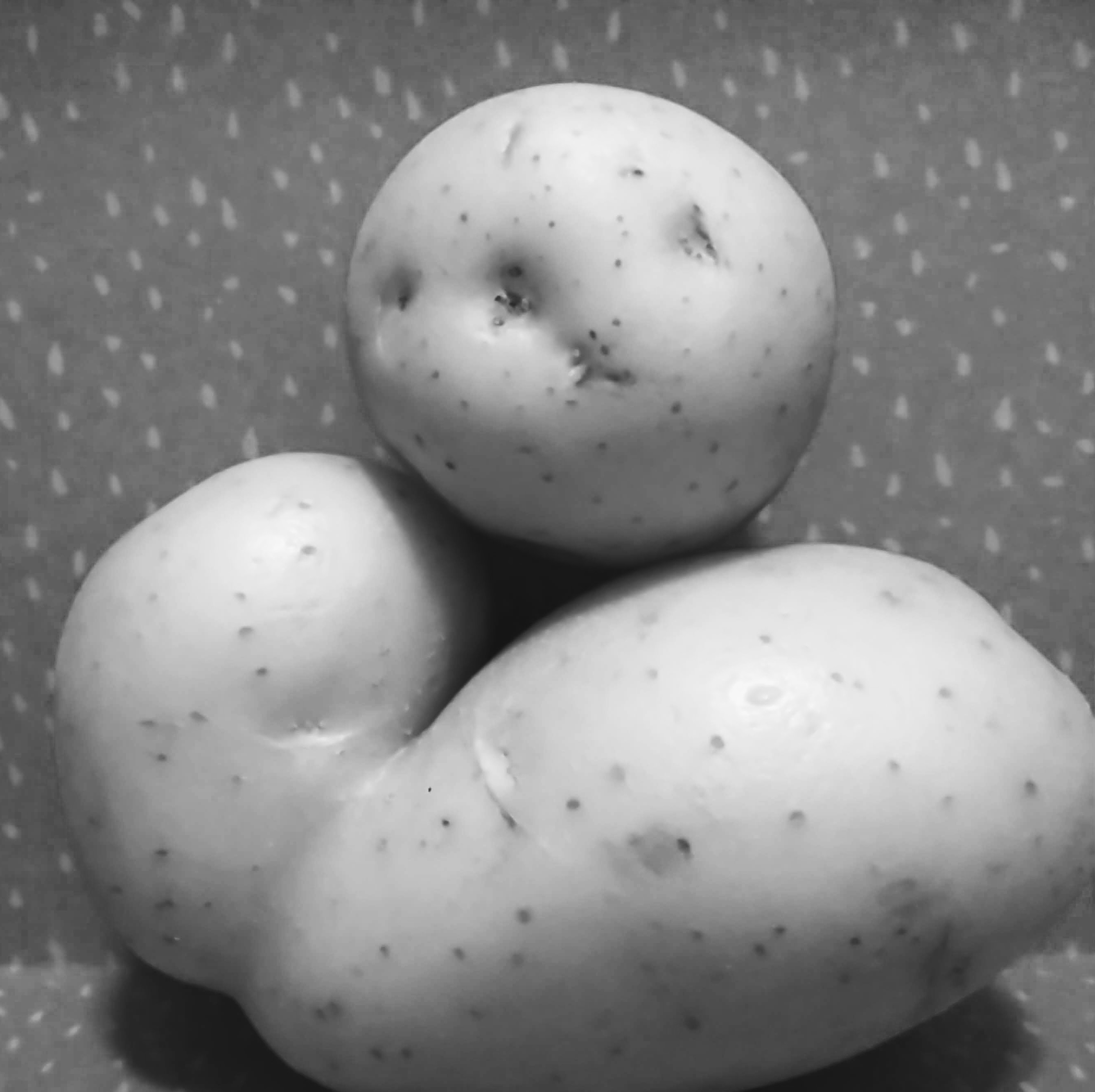 Biden’s Shite View of the Individual…or 13