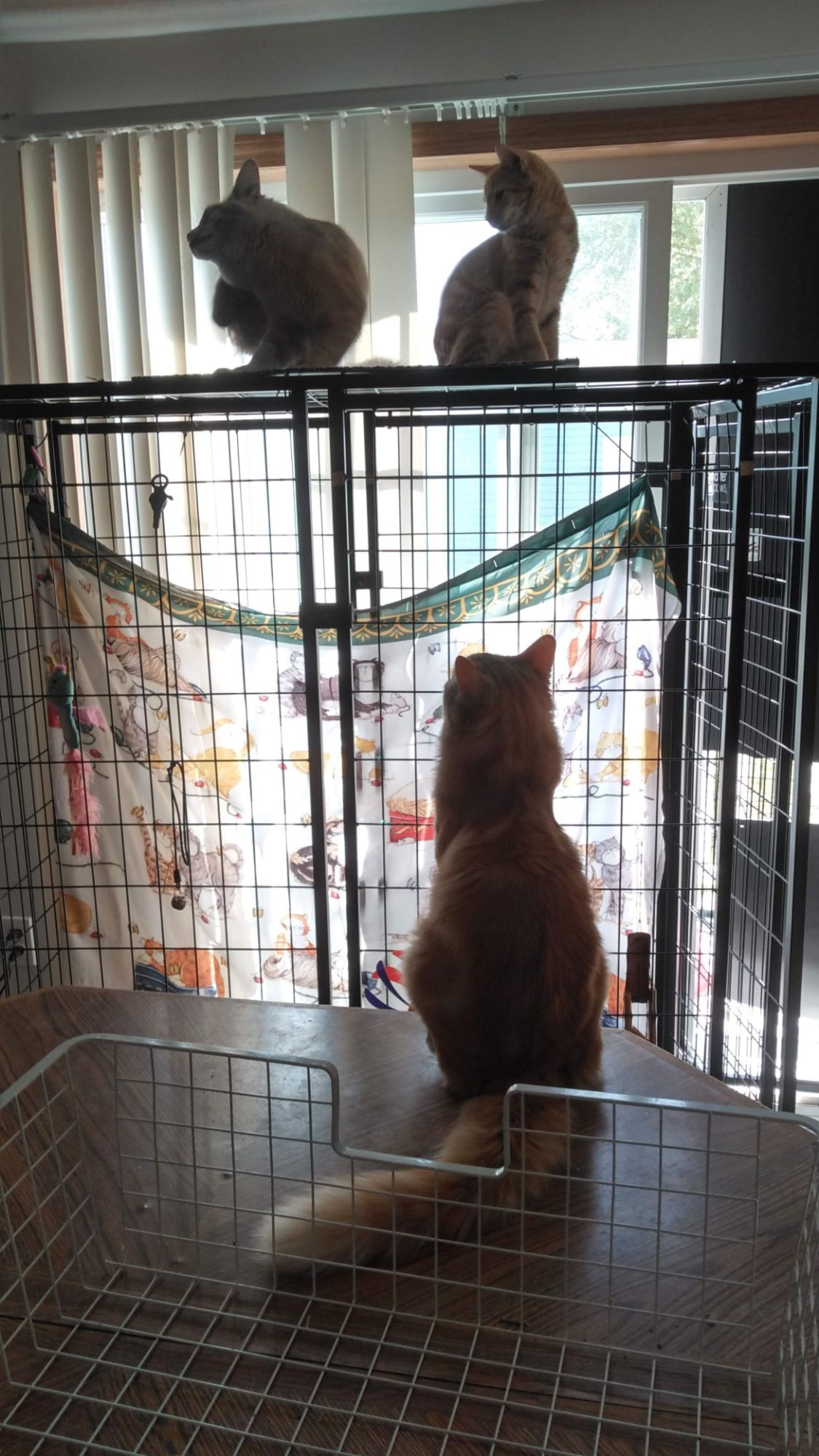 Post Rant Greetings…