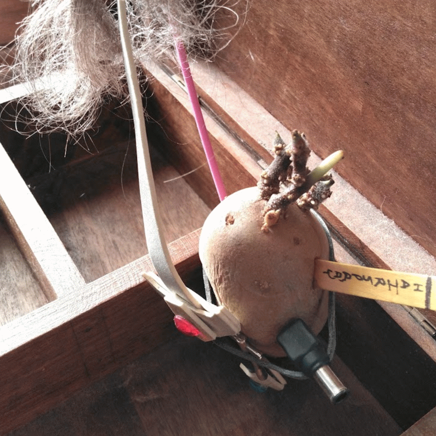 Spoofing The Twots: The Infitchlegation, Part One