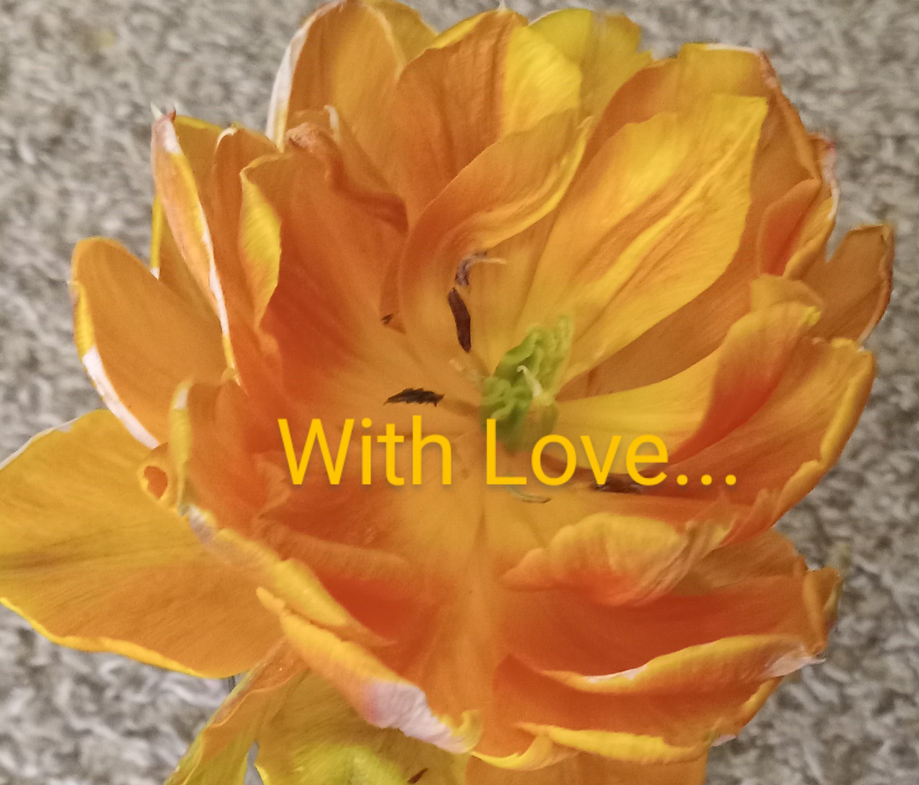 Yair Pinto: On Human Tragedy…The TRUTH About Oct. 7th & Israel’s Mission to DEFEAT Hamas In Rafah | Y…