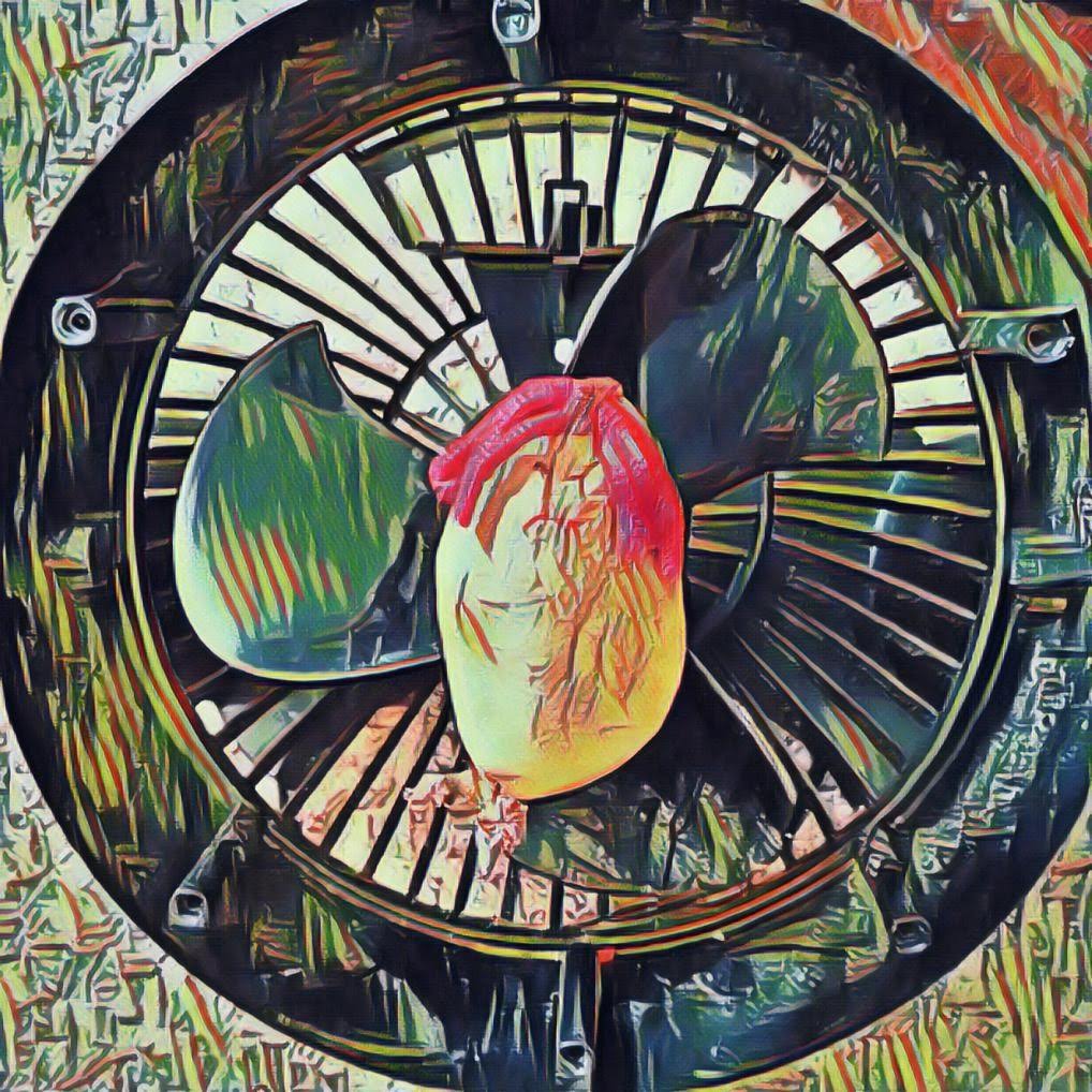 Psaki Makes Me Psickly: LIAR Afghan Gold Star Parents: Psaki’s Lie About Biden Checking His Watch Is Part of a Constant Pattern from Biden Team