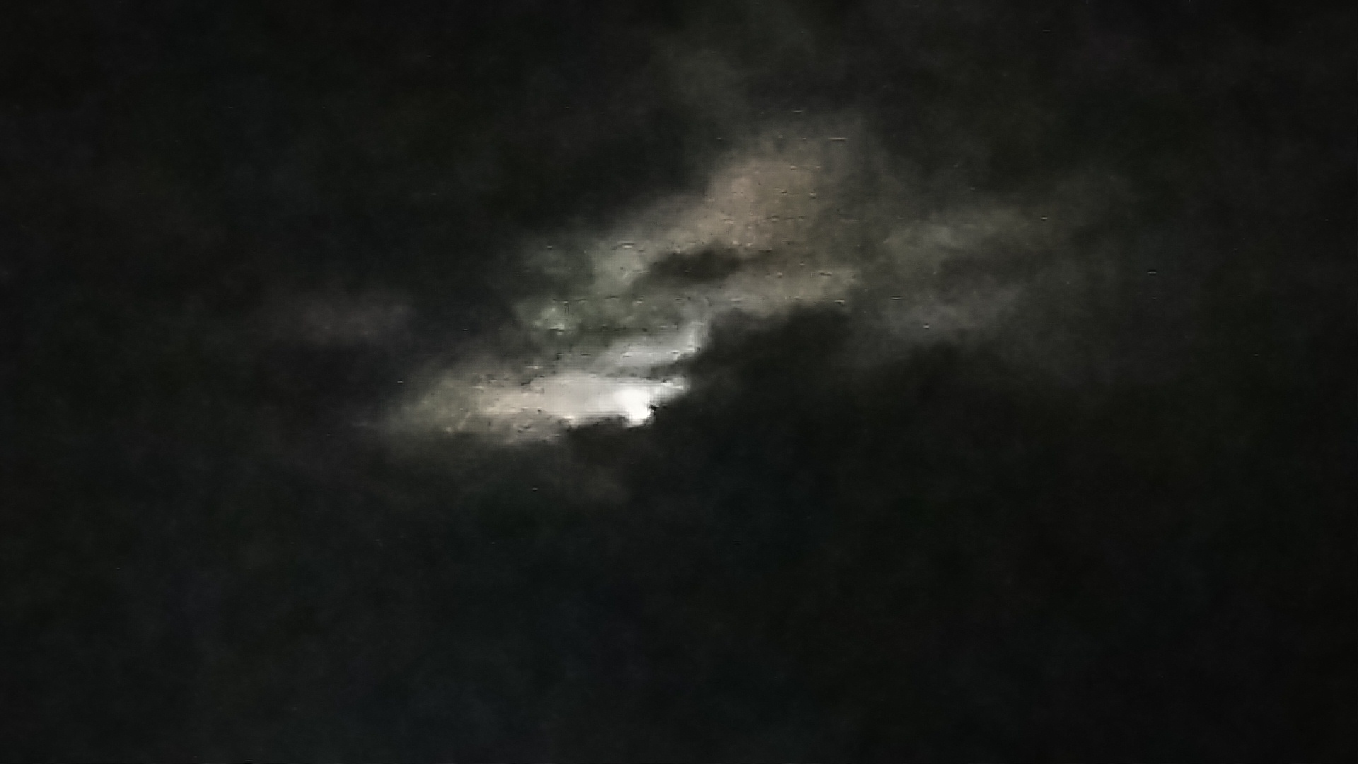 ‘Squad’ Members Ilhan Omar, Cori Bush Confuse Memorial Day with Veterans Day