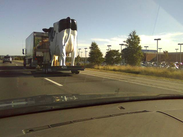 Better hop to it, Legend… Diddy has summoned you for conjungal visit! Video: John Legend Rants About Trump Creating ‘One of the Dark Times in American History’