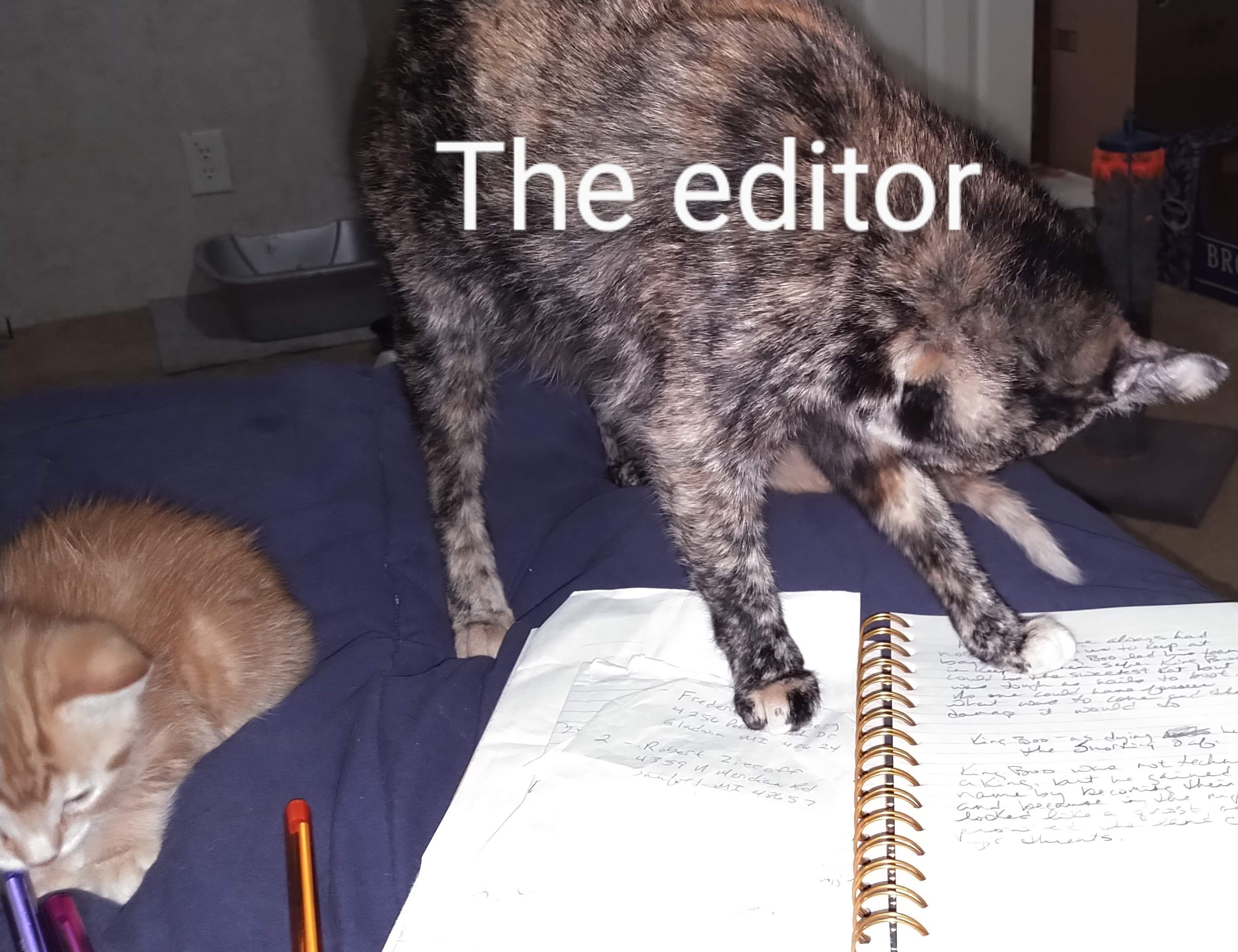 Who Out There is Happily Like This?