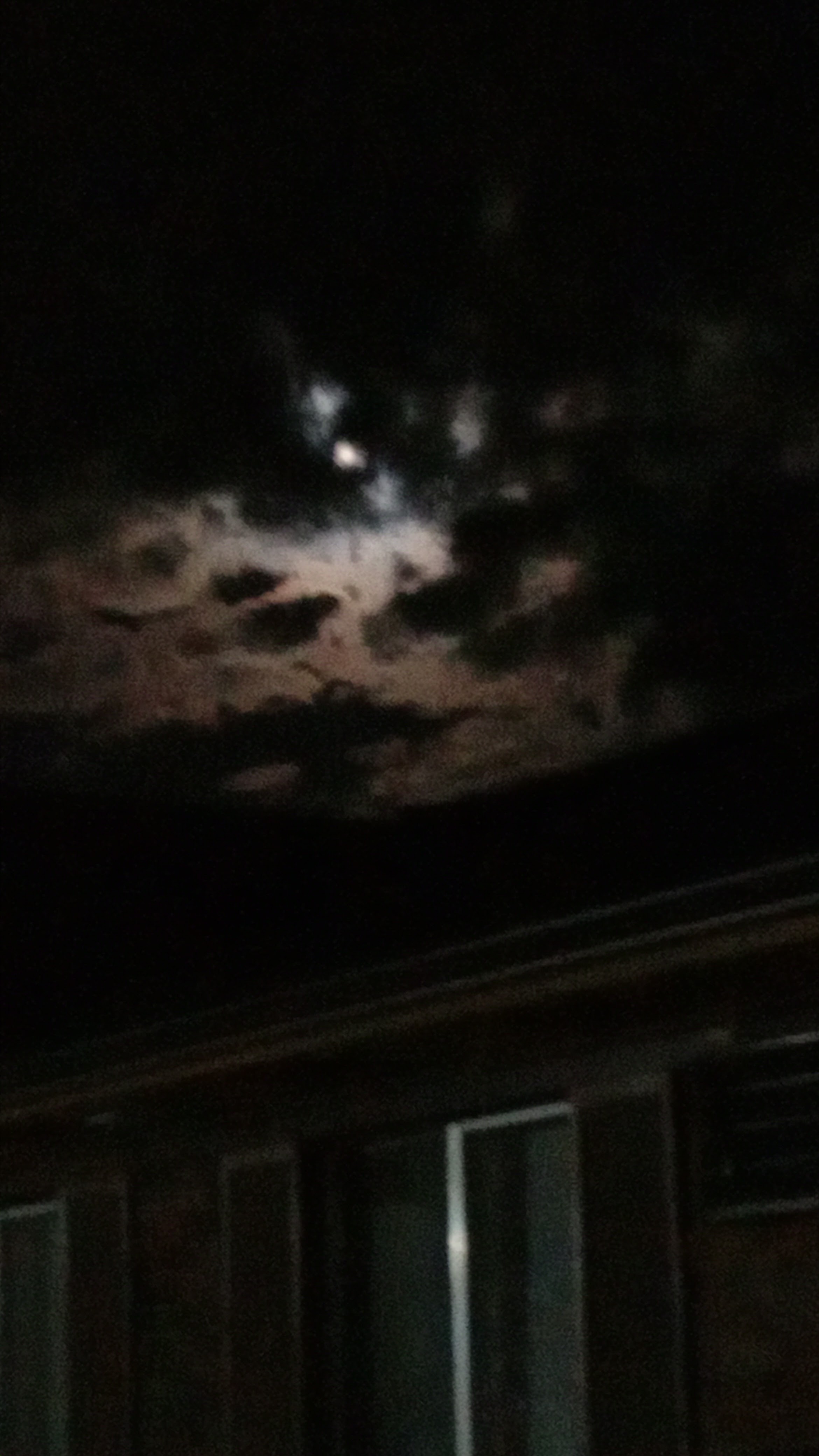 What Do You Prefer? Byrd or Grappler?