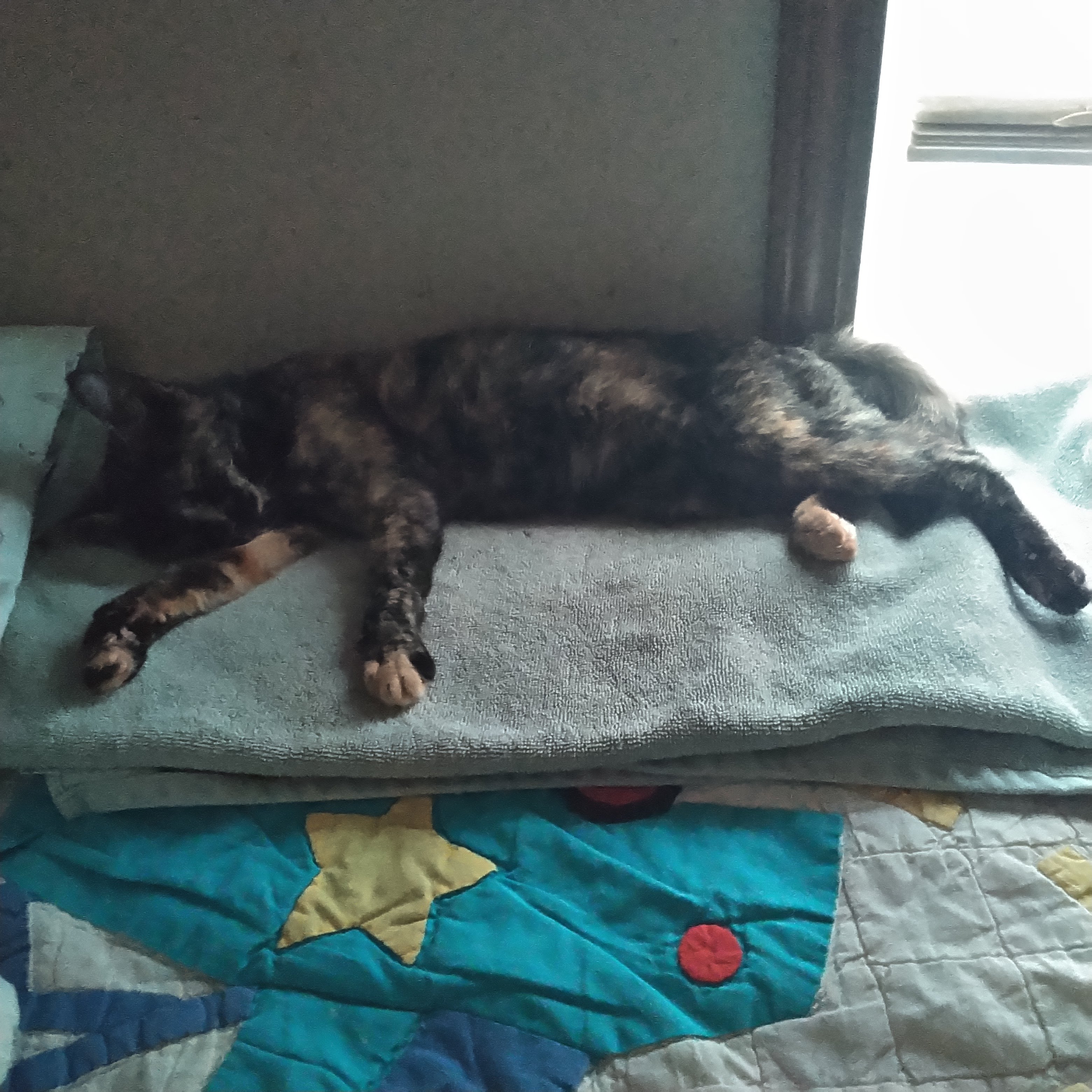 Fitchism: Notta Damthing