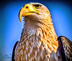 HIGH-ALERT: Warnings of potential Iranian attacks raise alarm across the…